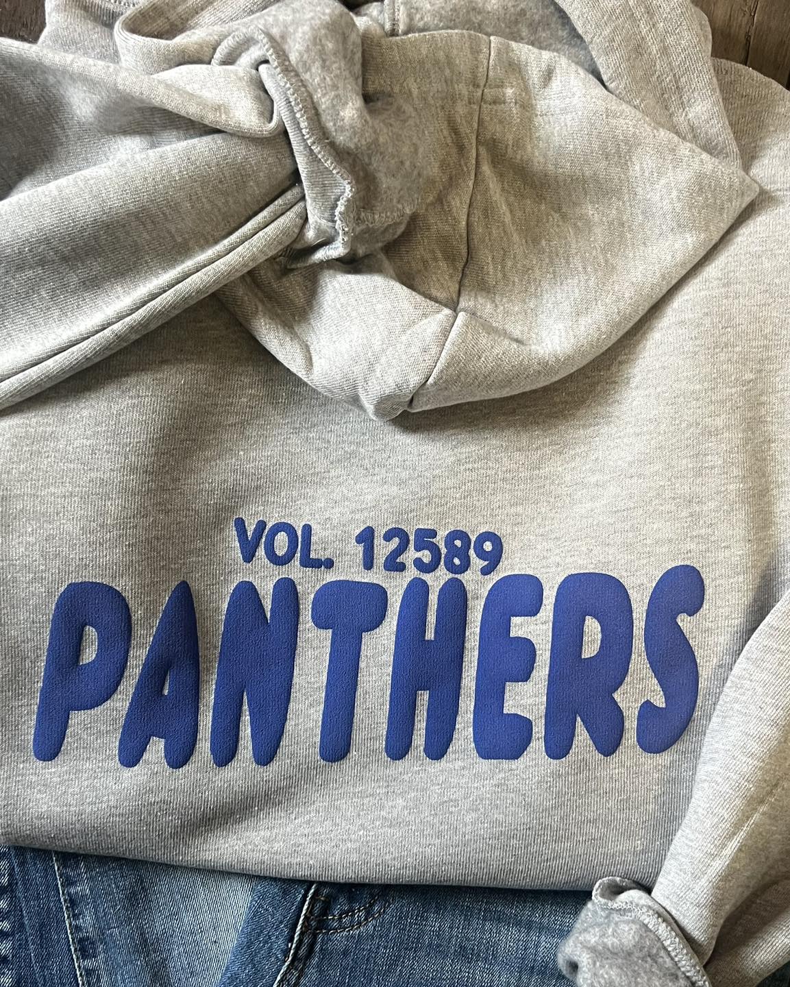 Panthers Volume Hoodie