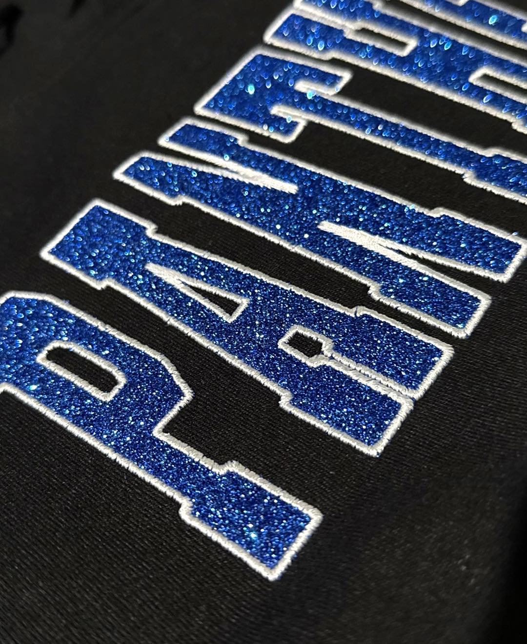 Panthers Embroidered Sweatshirts