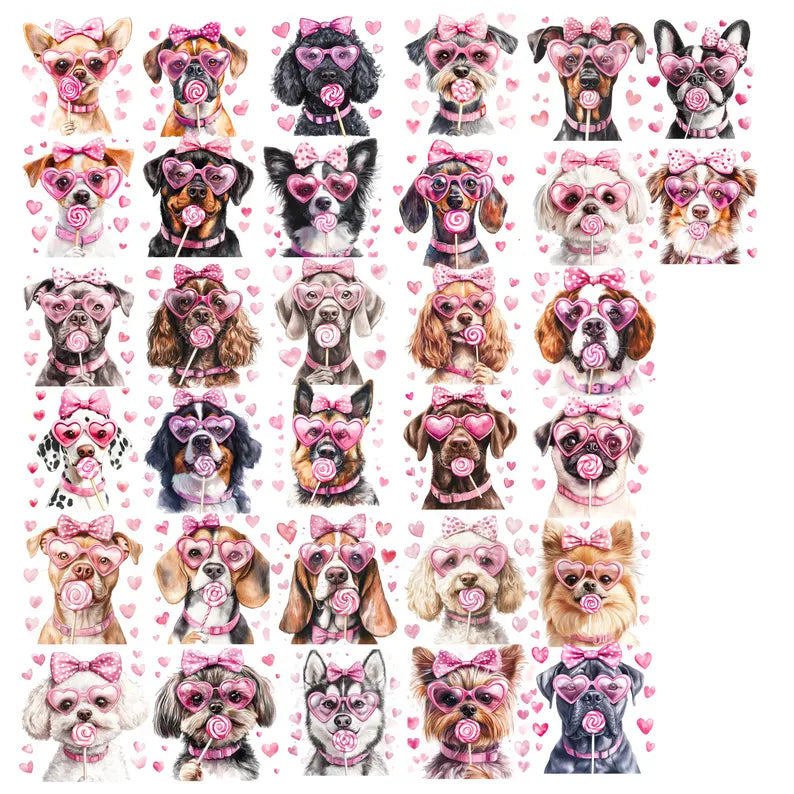 Valentine's Day Dog Sweatshirt