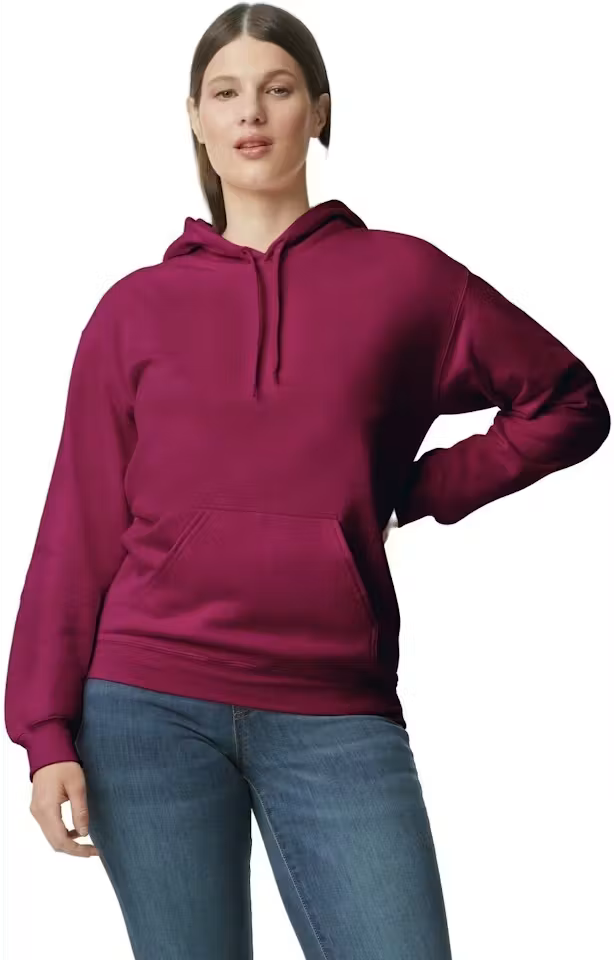 NP Knights Hoodie