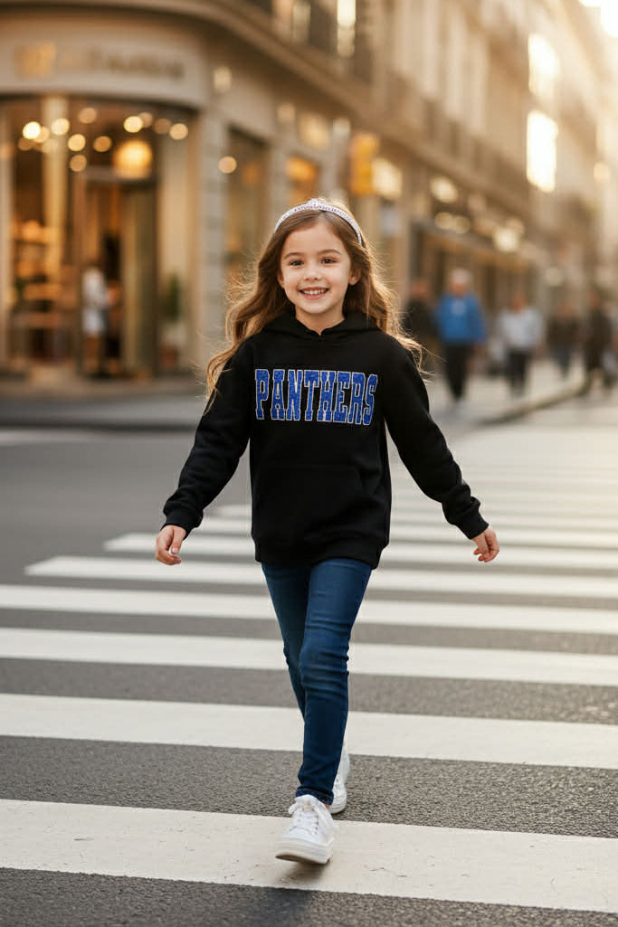 Panthers Embroidered Sweatshirts