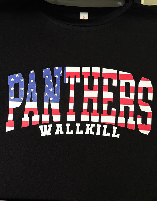 Panthers American Flag Tee