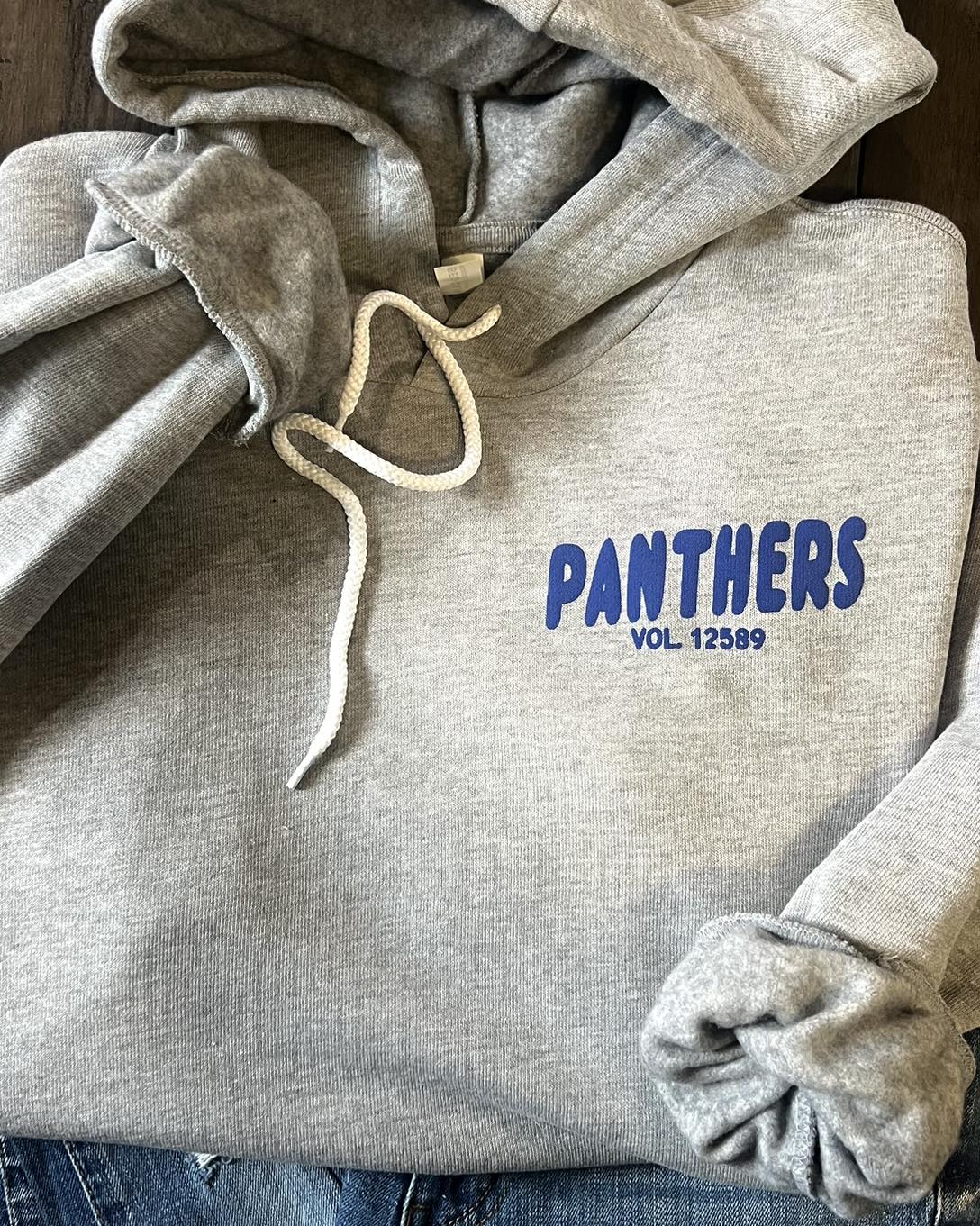 Panthers Volume Hoodie