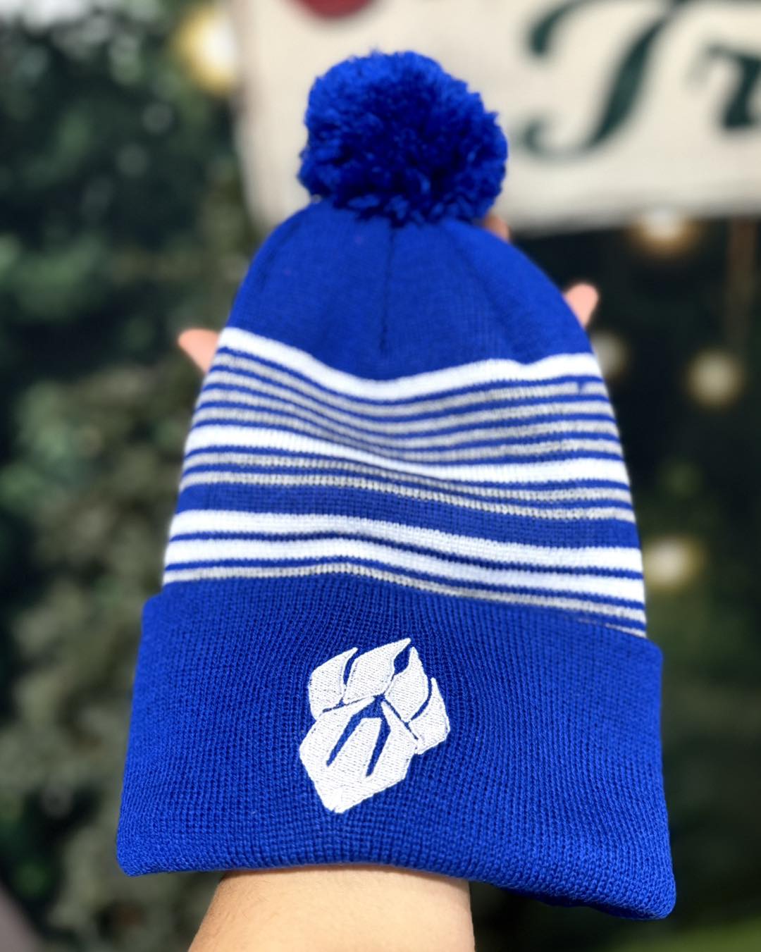 Royal blue striped beanie