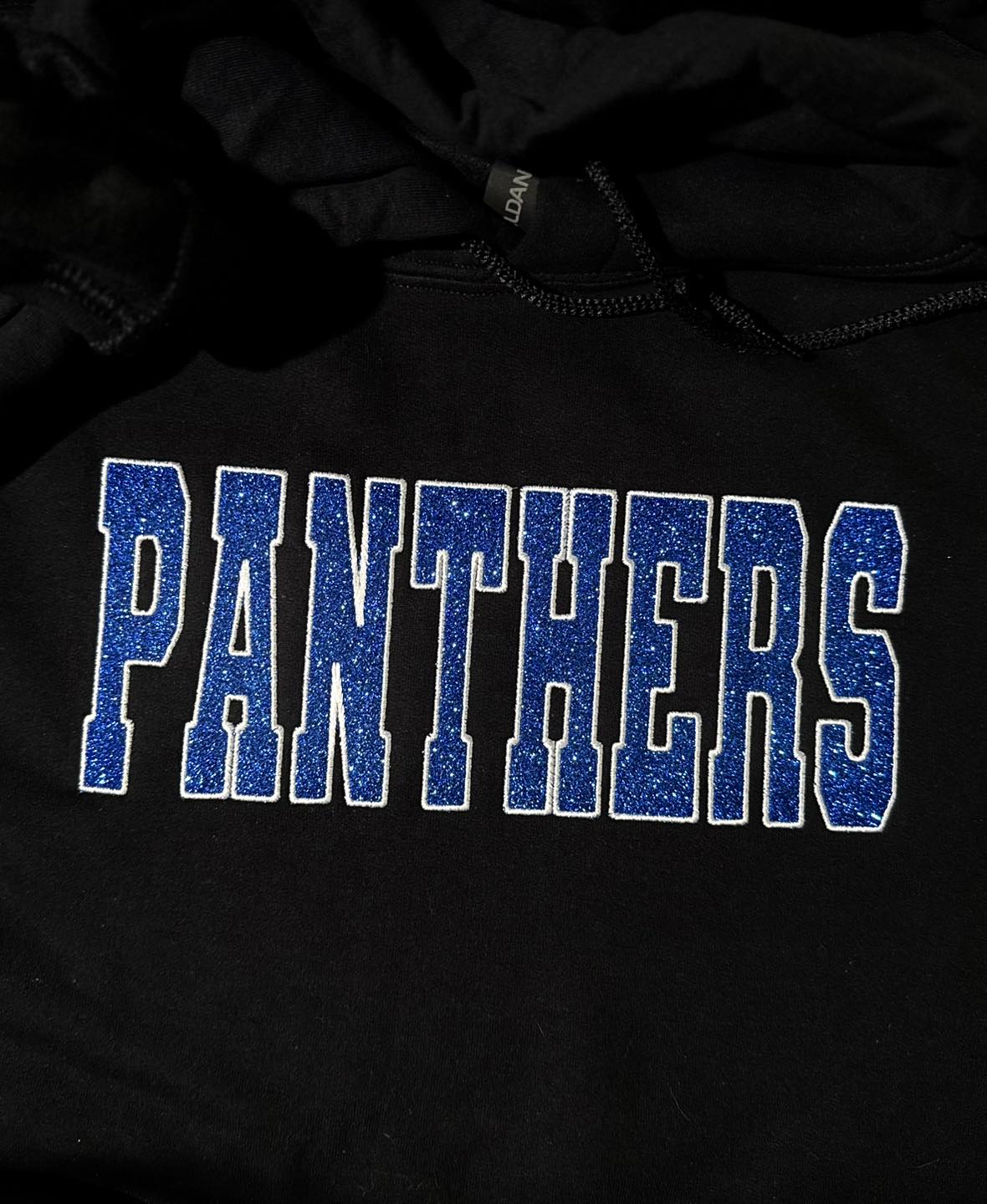 Panthers Embroidered Sweatshirts
