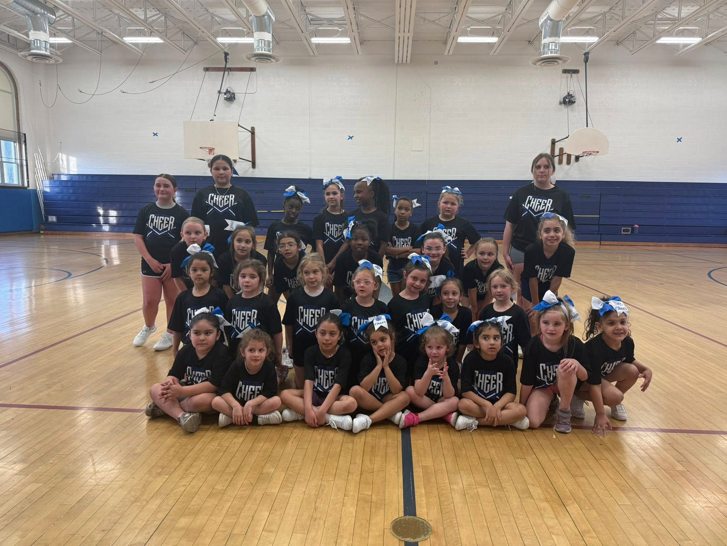 Wallkill Cheer Tees