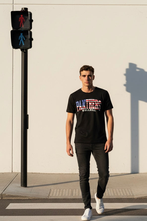 Panthers American Flag Tee