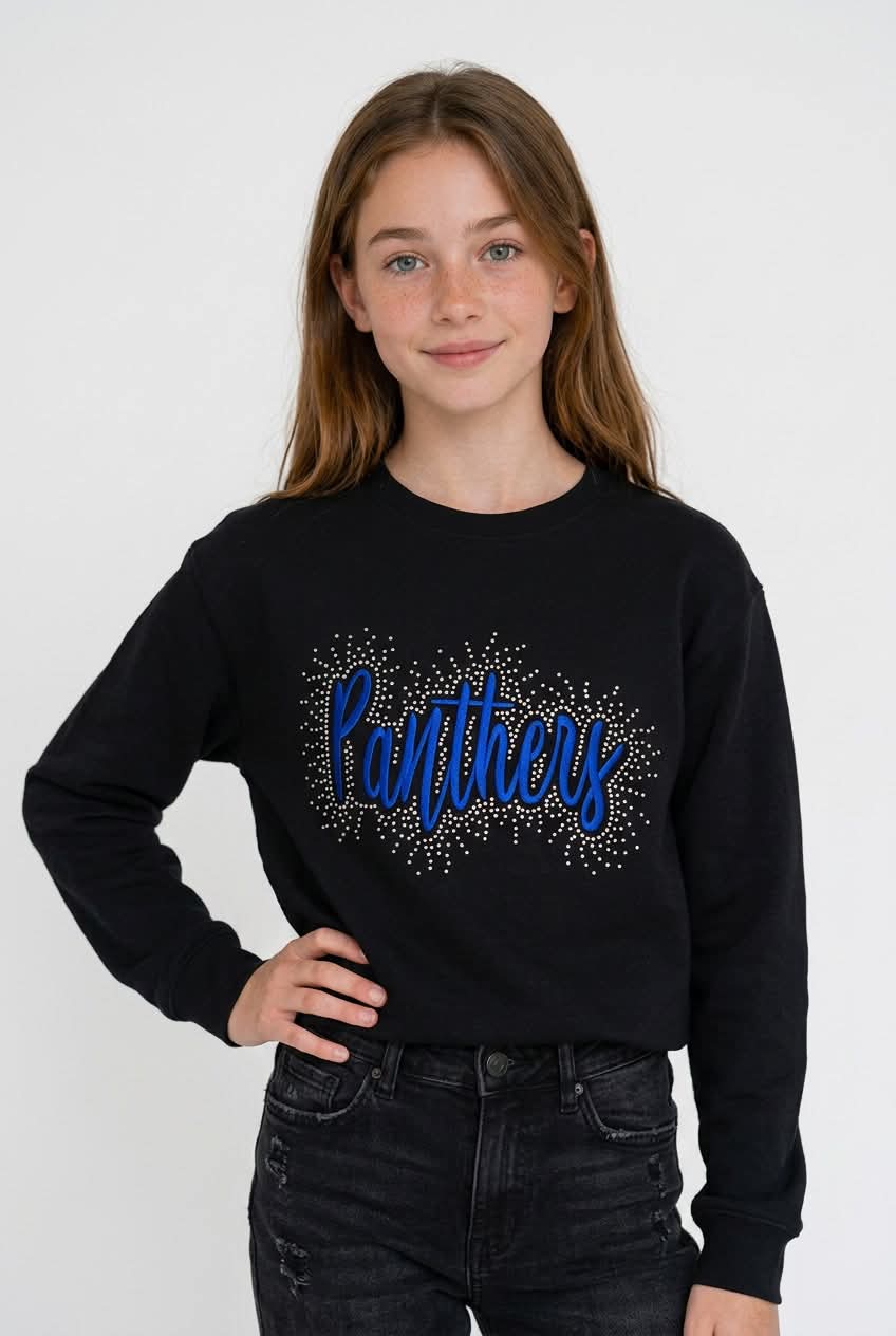Panthers Embroidered Bling Sweatshirt