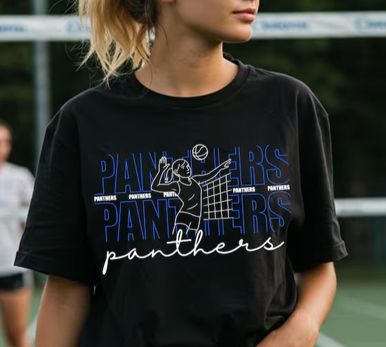 Panthers Volleyball