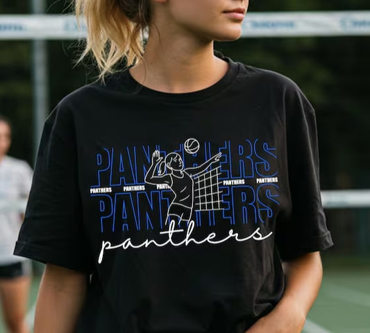 Panthers Volleyball