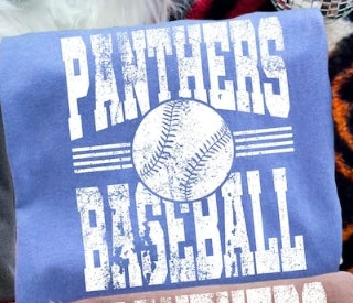 Panthers Baseball Grunge