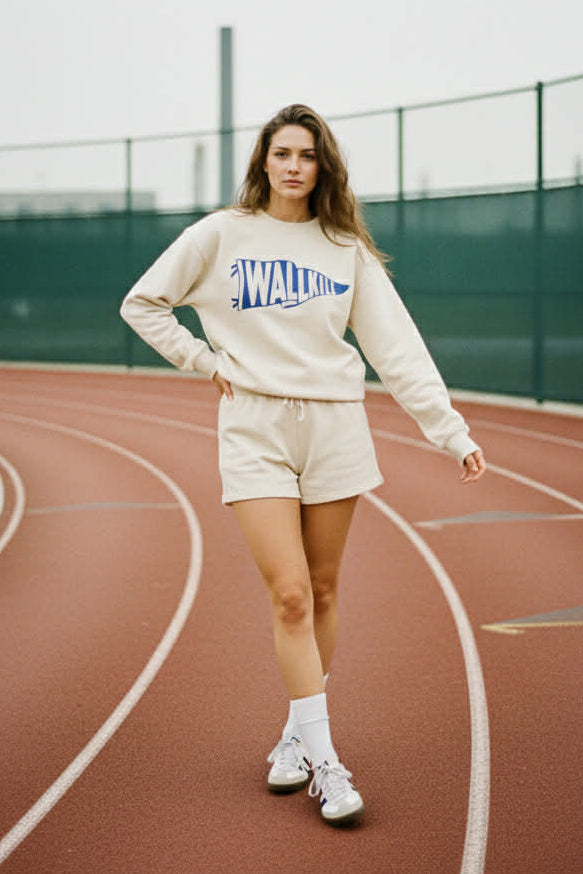 Vintage Wallkill Pennant Flag Sweatshirt