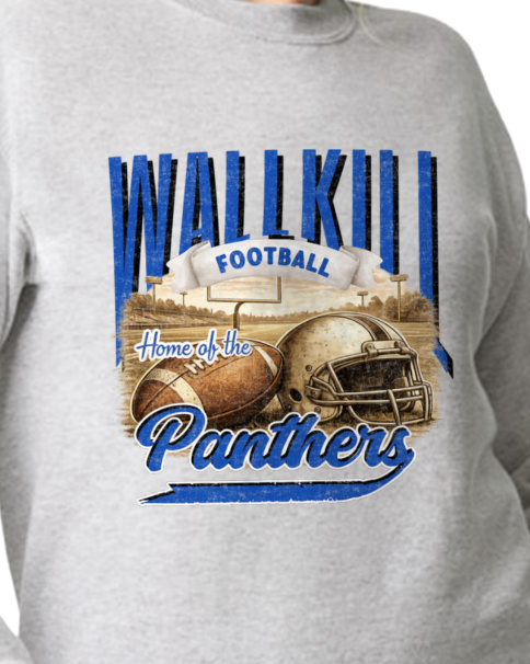 Panthers Vintage Football